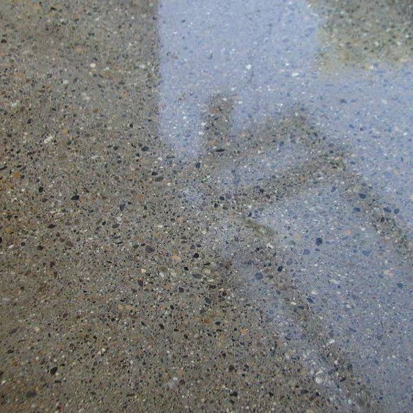 Ирина Петровна